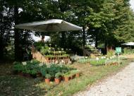 Mostra-mercato Vanzo Floreale 2009